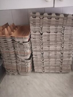 Prodám plata od vajec