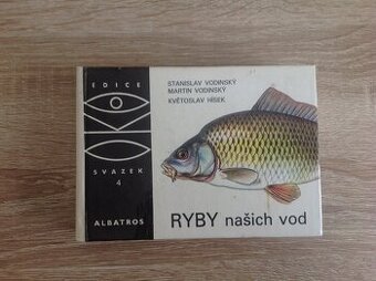 RYBY