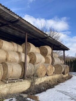 Prodám seno (2024) - kulaté balíky, Vysočina (zastřešené)