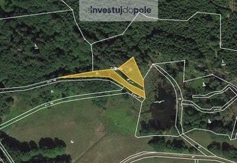 Prodej louky 1 766 m², Přimda - Málkov, ev.č. 2025-07-21-4