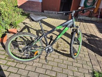 Dětské kolo Cygnus Dirt Pro