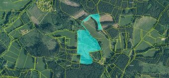 Prodej lesa na Šumavě - 1