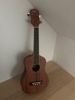 Ukulele Washburn U20