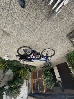 Motokolo tu nink bez kola