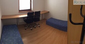 Brno Komín, Branka, pronájem pro studenty