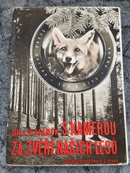 S kamerou za zvěří našich lesů