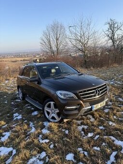 Mercedes-Benz ML 350d w166 offroad packet