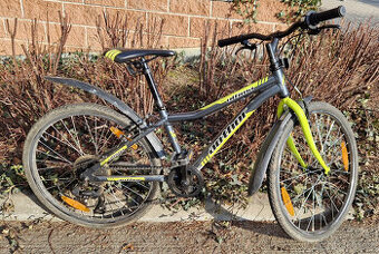 Author Ultima 24"
