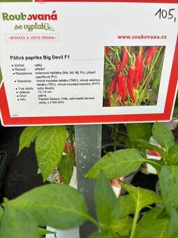 Roubovaná zelenina - 1