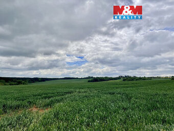 Prodej pole, 22965 m², Měcholupy