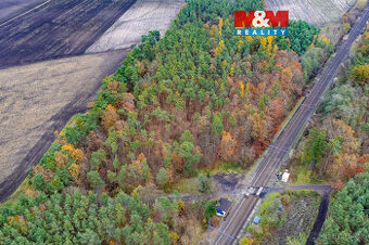 Prodej lesa, 6436 m², Lysá nad Labem