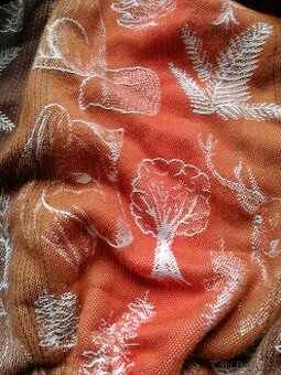 Rischino Wild Nature Autumn