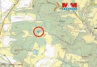 Prodej lesa, 8826 m², Horní Studénky