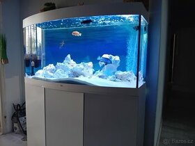 Akvárium  juwe l260 kompletně vybaveno - 1