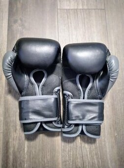 Pánské boxerské rukavice EVERLAST Powerlock 14OZ - 1