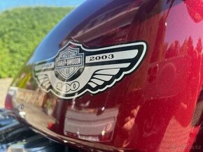 Harley Davidson sportster 883 TOP