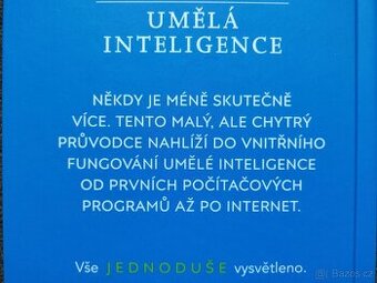 Umělá inteligence co je, jak funguje, učí se, co poskytuje
