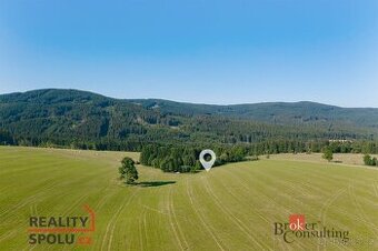 Prodej, pozemky/bydlení, 1400 m2, Říčky v Orlických horách,