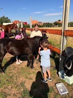 Pony klisna