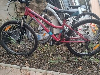 Juniorské HORSKÉ KOLO SWAN - Velikost 24"