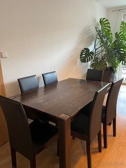 Dřevěný jídelní stůl a 6 židlí