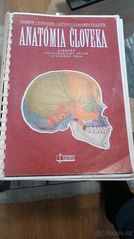 Yokochi - Anatomie človeka, skvělá na pitvy