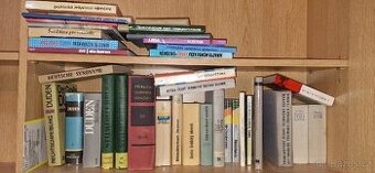 Jazyková knihovna, slovníky, učebnice