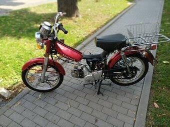 Kentoya Twin Cup ( Betka ).