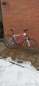 Horské kolo CTM dámské - 1