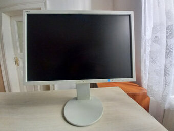 NEC MultiSync EA223WM