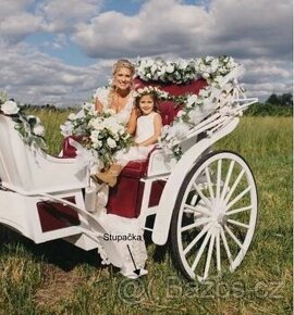 Kočár za koně-stupačka