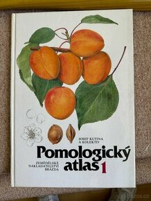 Kniha atlas