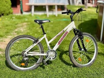 Dětské kolo Leader Fox SPIDER 24"