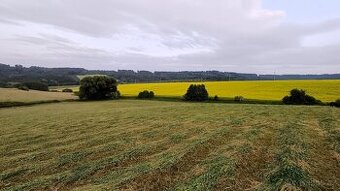 Seno malé balíky - nová sklizeň 2025