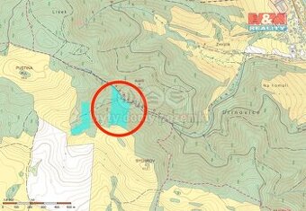 Prodej lesa, 29330 m², Horní Studénky