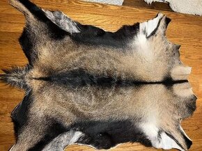 NOVÁ luxusní kozí kůže - kozinka, hnědočernobílá