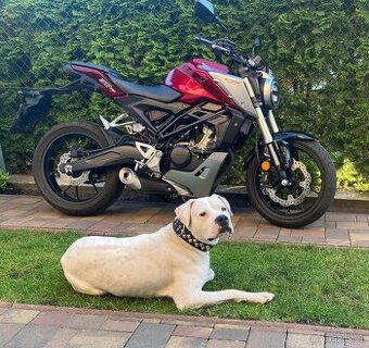 Honda CB125R