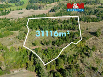 Prodej lesa v Horních Heřmanicích - 1