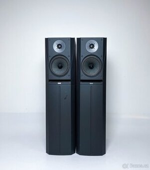 Bowers & Wilkins DM305