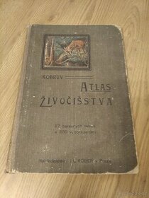 Kobrův Atlas živočišstva nakladatelství I.L.KOBER - 1
