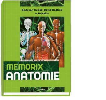 Memorix anatomie