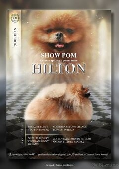 Pomeranian