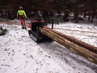 Železný kůň Lennartsfors - Švédsko
