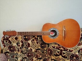 Devíti strunná kytara