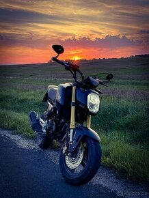 Honda MSX 125 GROM černá