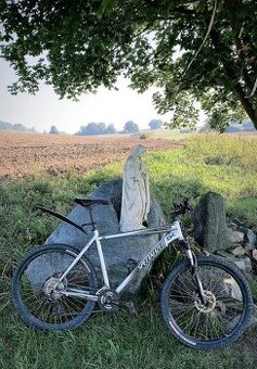 Specialized