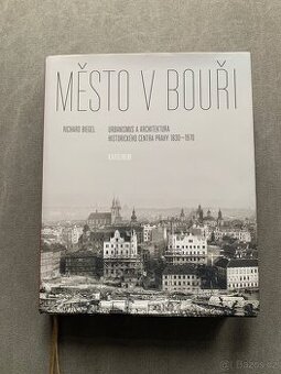 Město v bouři - Richard Biegel - 1