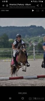 Pony kobylka