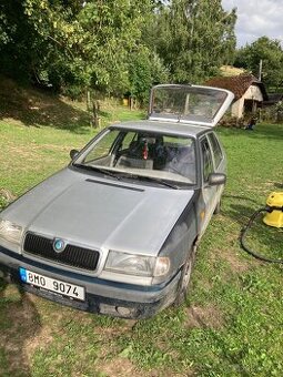 Felicie 1,3mpi