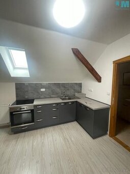 Pronájem bytu 1+kk 47 m², Moravské Budějovice, ev.č. 01880
